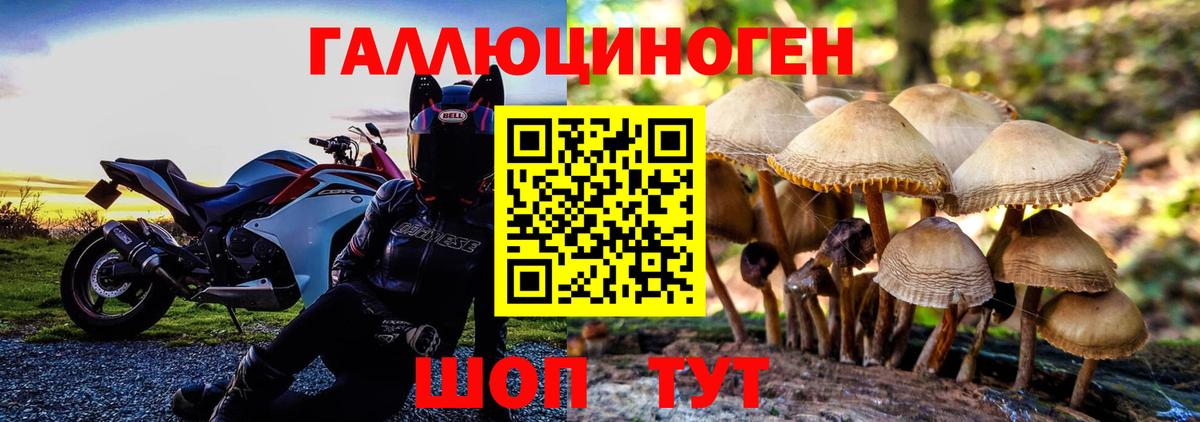 Сызрань  Галлюциногенные грибы MAGIC MUSHROOMS  Вход с VPN  Галлюциногенные грибы мухоморы 